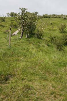 20120530 26